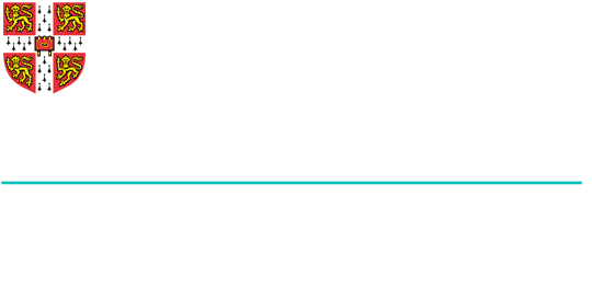 Cambridge English Platinum — Authorised Exam Centre